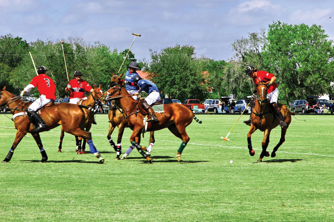 Sarasota Polo Club